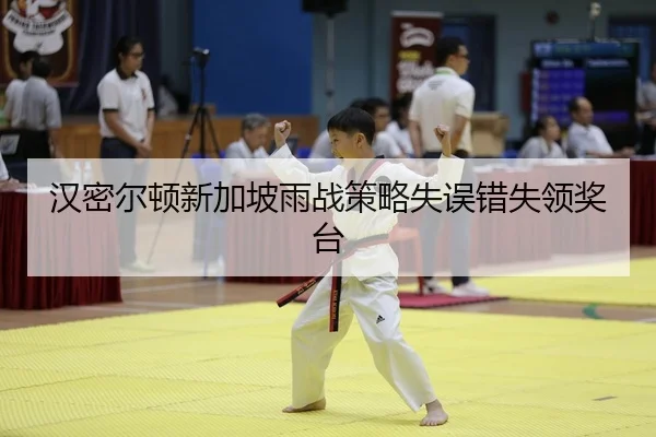 han-mi-er-dun-xin-jia-po-yu-zhan-ce-lve-shi-wu-cuo-shi-ling-jiang-tai-1-874.jpg